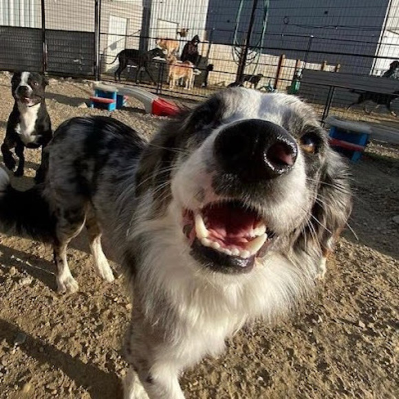 Meet your Posher, Emilie - Picture 1 of 1